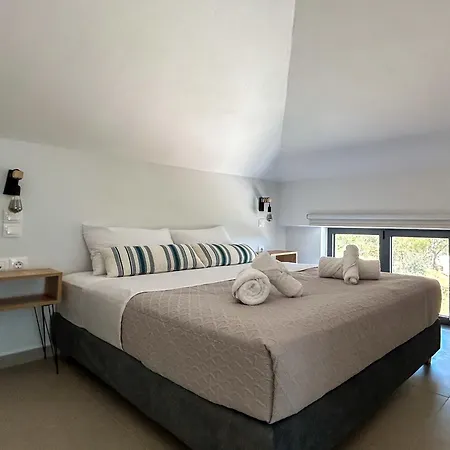 Drys Mekoynida * كاريستوس