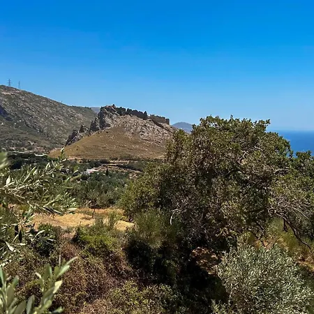 Drys Mekoynida * كاريستوس