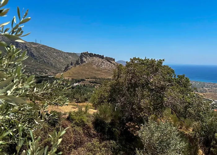 Drys Mekoynida * Karystos (Evia)